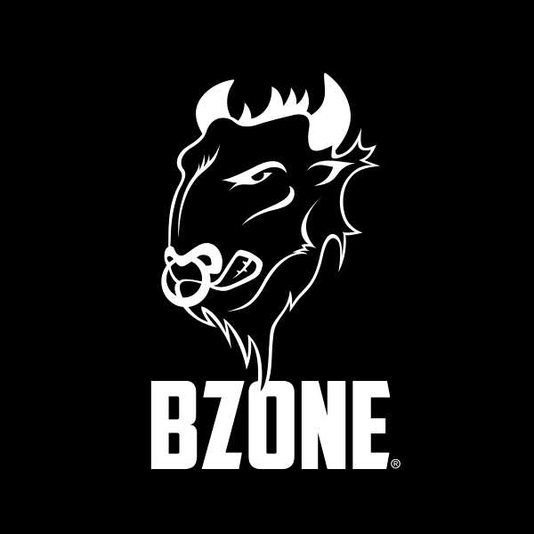BZONE – Web Designer