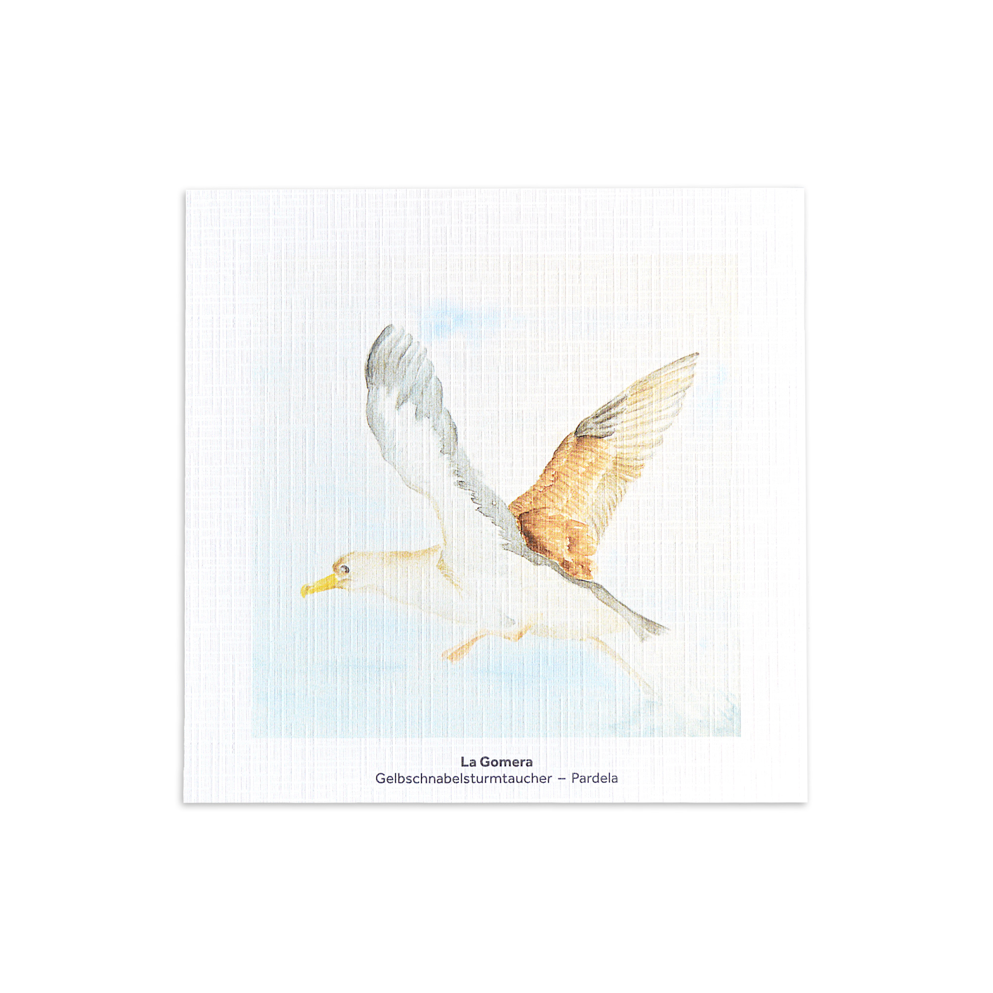 Kunstpostkarten mit Kunstdrucken von Vogelaquarellen